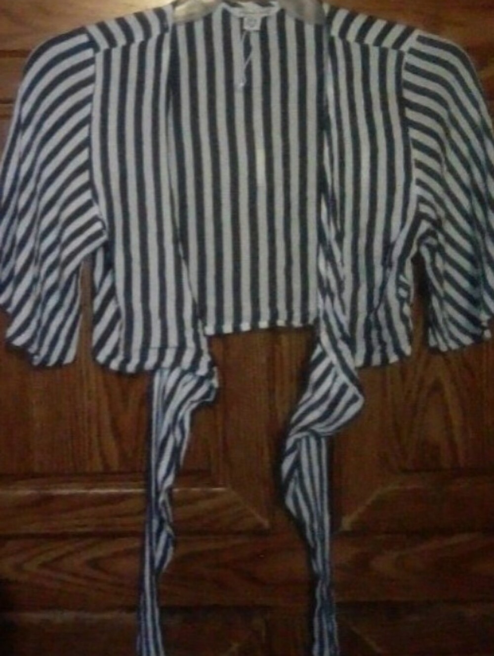 American Eagle Outfitters Blue and White Striped Tie-Front Crop Top